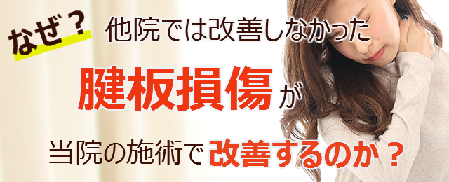 なぜ？他院では改善しなかった腱板損傷が当院の施術で改善するのか？