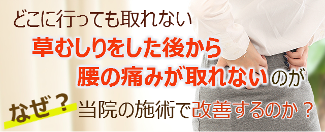 どこに行っても取れない草むしりをした後から腰の痛みが取れないのがなぜ？当院の施術で改善するのか？